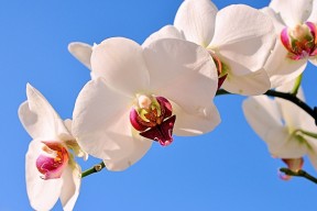 世界篮球邀请赛：战术轮换拉开实力差距，世界篮球争霸赛